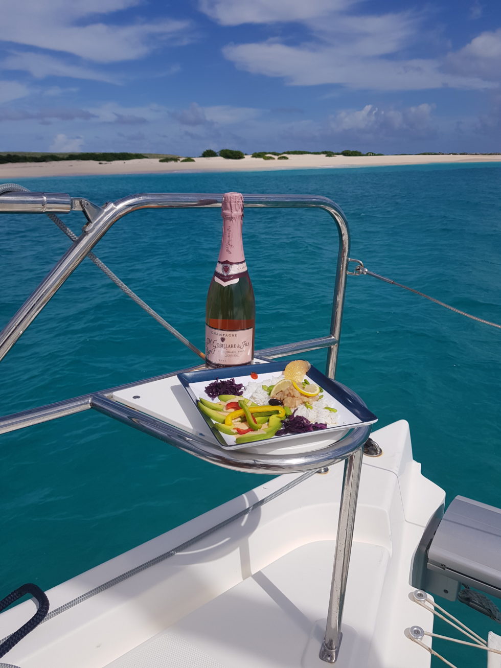 croisiere catamaran caraibes avec skipper